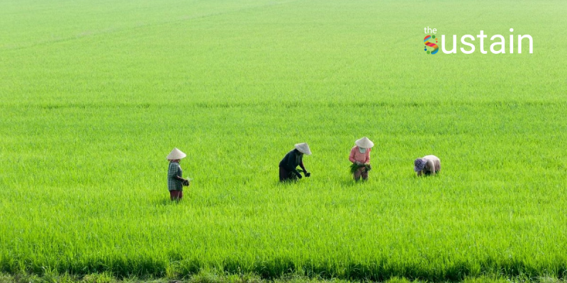 เกษตรฟื้นฟู มีสำคัญยังไง ทำไม ถึงเป็นทางออกของวิกฤตโลกร้อน