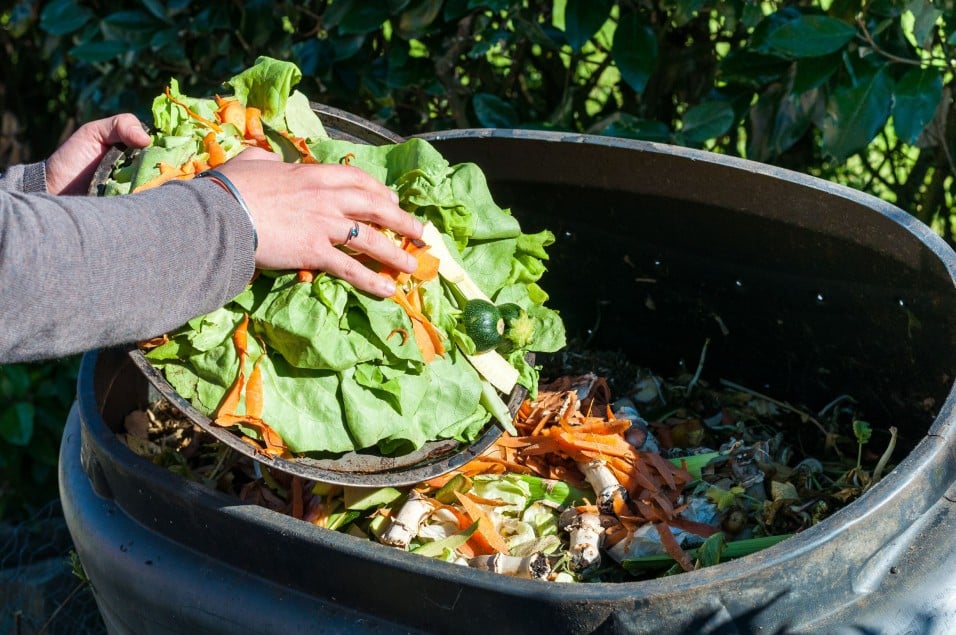 Food Waste "ปุ๋ยหมัก จาก ขยะอาหาร" กลับคืนสู่ธรรมชาติอย่างยั่งยืน