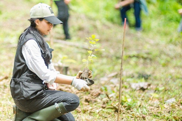 วันนิเวศวิทยาโลก