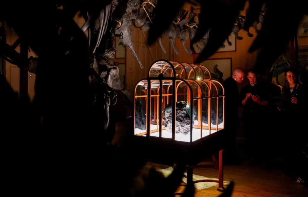 กระเป๋าหนัง T rex